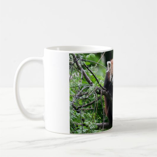 Ailurus fulgens kaffeetasse (Links)