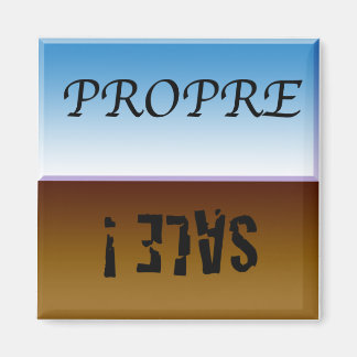 Aimant à lave vaisselle magnet