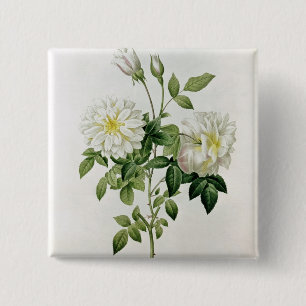 Aime Vibere graviert von Eustache Hyacinthe Button