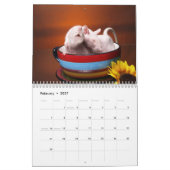 Aimees Kalender Ratten 2010 (Feb 2027)