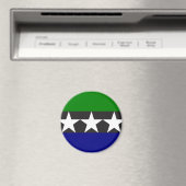 Aimelik, pakistanische Flagge Magnet (In Situ (Geschirrspüler))