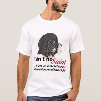 Aint kein Heiliges T-Shirt