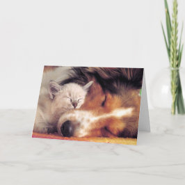 Ain't Liebe Grand Karte