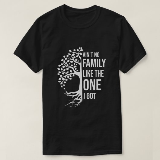 Aint No Family wie die, die ich Got Funny Family R T-Shirt (Design vorne)