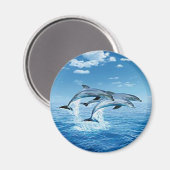 Air Delphins Magnet (Vorderseite/Rückseite)
