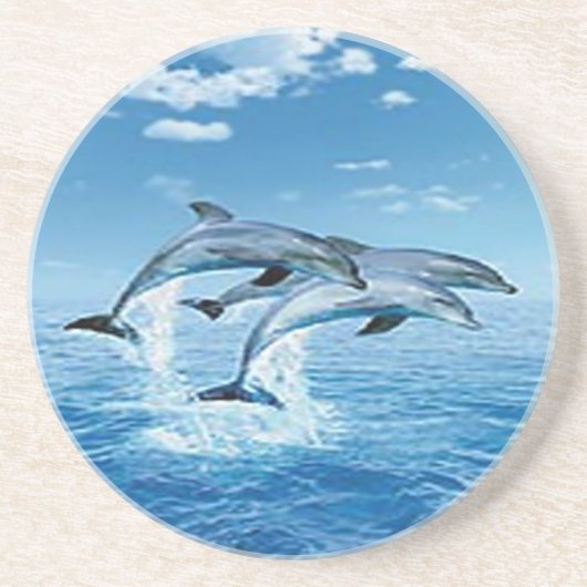 Air Delphins Untersetzer (Vorne)