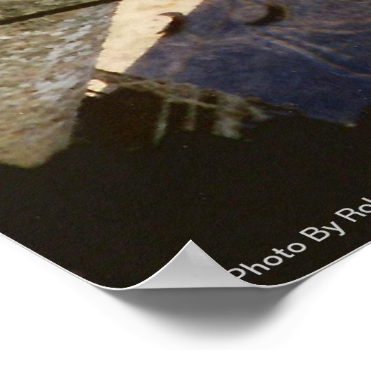 "Air Dive"-Druck Poster (Ecke)