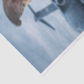 Air Force Pupper  Seidenpapier (Ausschnitt)