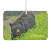 Air Freshner-Yellowstone Bear Autolufterfrischer (Rückseite)
