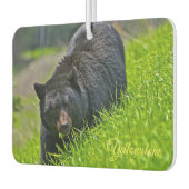 Air Freshner-Yellowstone Bear Autolufterfrischer (Links)