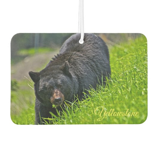 Air Freshner-Yellowstone Bear Autolufterfrischer (Vorderseite)