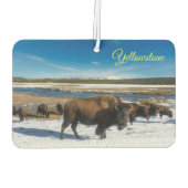 Air Freshner-Yellowstone Buffalo Autolufterfrischer (Rückseite)