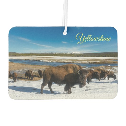Air Freshner-Yellowstone Buffalo Autolufterfrischer (Rückseite)