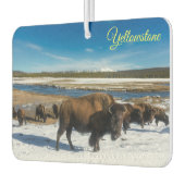 Air Freshner-Yellowstone Buffalo Autolufterfrischer (Links)