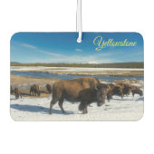 Air Freshner-Yellowstone Buffalo Autolufterfrischer (Vorderseite)