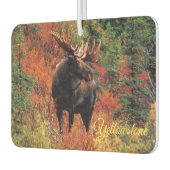 Air Freshner-Yellowstone-Elche Autolufterfrischer (Links)