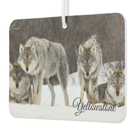 Air Freshner-Yellowstone Wolves Autolufterfrischer (Links)