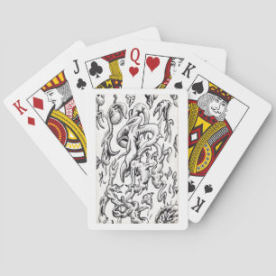 Airbourne Fauna von Brian Benson Spielkarten