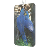 Aircar fresh _ Papageien Autolufterfrischer (Links)