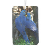 Aircar fresh _ Papageien Autolufterfrischer (Rückseite)