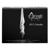 Aircat Luftyoga-Kalender 2013 Kalender (Titelbild)