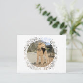 Airedale auf dem stabilen Hof Postkarte (Stehend Vorderseite)