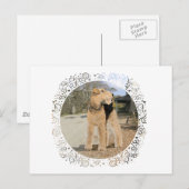 Airedale auf dem stabilen Hof Postkarte (Vorne/Hinten)