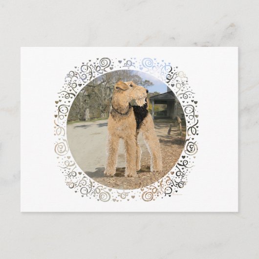 Airedale auf dem stabilen Hof Postkarte (Vorderseite)
