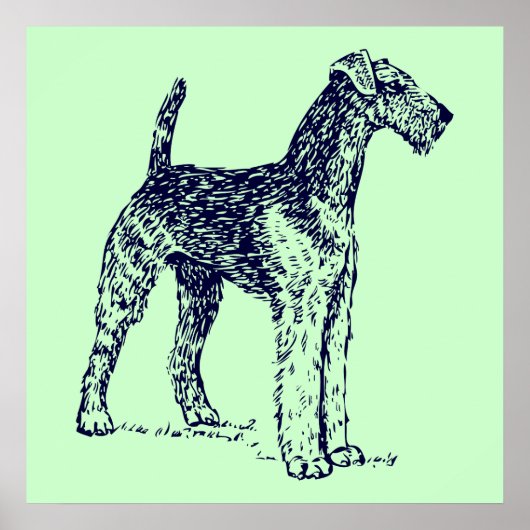 Airedale Dog Poster (Vorne)