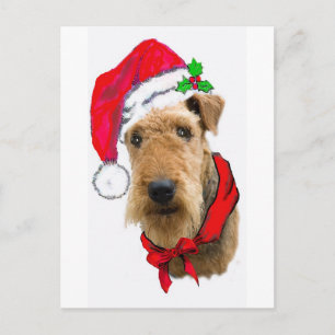 Airedale in der Weihnachtsmannmütze Feiertagspostkarte