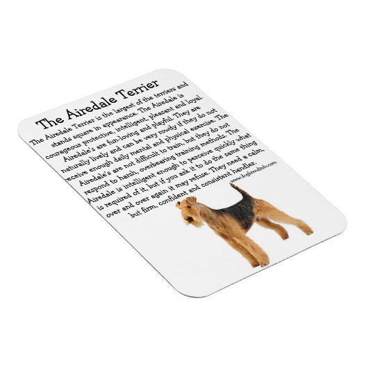 Airedale Info Magnet (Rechte Seite)