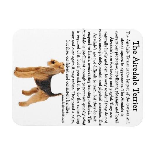 Airedale Info Magnet (Horizontal)