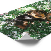 Airedale-Jungtier auf dem Blumenfeld Poster (Ecke)