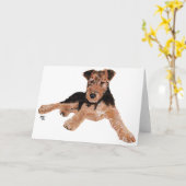 Airedale, Lakeland, Welsh Terrier Pup Karte (Gelbe Blume)
