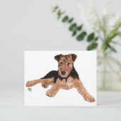 Airedale, Lakeland, Welsh Terrier Pup Postkarte (Stehend Vorderseite)