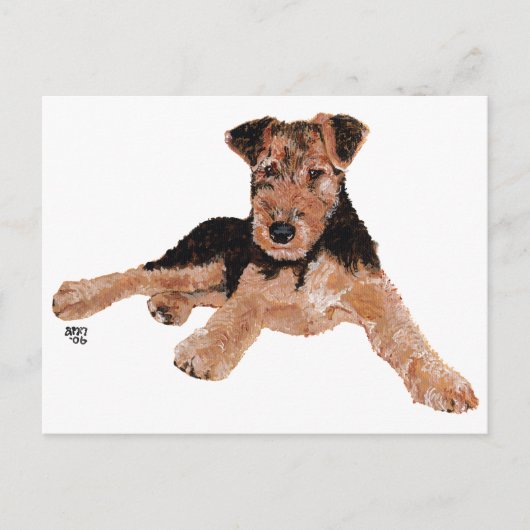 Airedale, Lakeland, Welsh Terrier Pup Postkarte (Vorderseite)