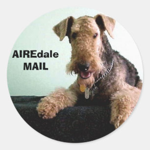 AIREdale MAIL Runder Aufkleber