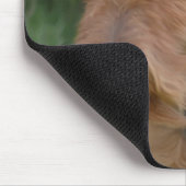 Airedale Mousepad (Ecke)