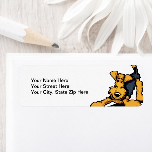 Airedale on Play (Insitu)