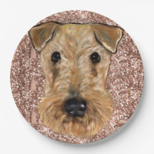 AIREDALE PLATZ  PAPPTELLER