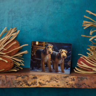 Airedale Snowy Sleigh Reiten Weihnachtsdekor Fotoplatte