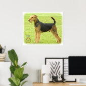 Airedale Terrier 8T092D-16 Poster (Heimbüro)