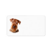 Airedale Terrier Address Label Adressaufkleber (Vorne)