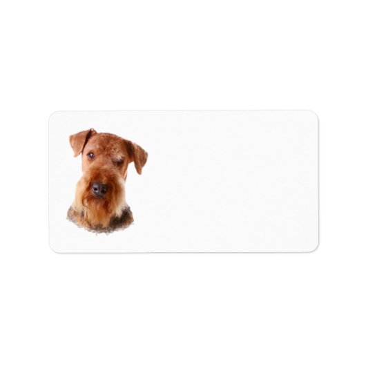 Airedale Terrier Address Label Adressaufkleber (Vorne)