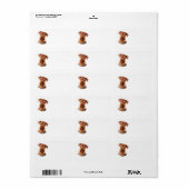 Airedale Terrier Address Label Adressaufkleber (Vorne)