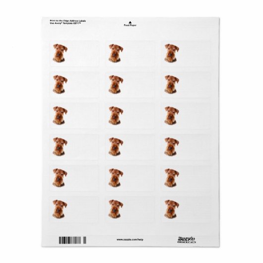 Airedale Terrier Address Label Adressaufkleber (Vorne)