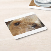 airedale Terrier Augen Rechteckiger Pappuntersetzer (angewinkelt)