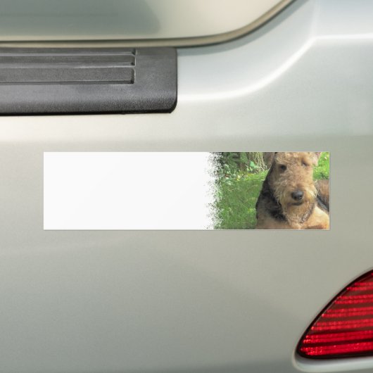 Airedale-Terrier-Autoaufkleber Autoaufkleber (Auf Auto)