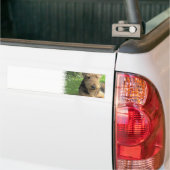 Airedale-Terrier-Autoaufkleber Autoaufkleber (Auf Lkw)