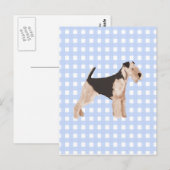 Airedale Terrier Blue Gingham Postkarte (Vorne/Hinten)